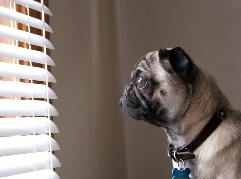 Working on a project with Courtney&nbsp;Heard